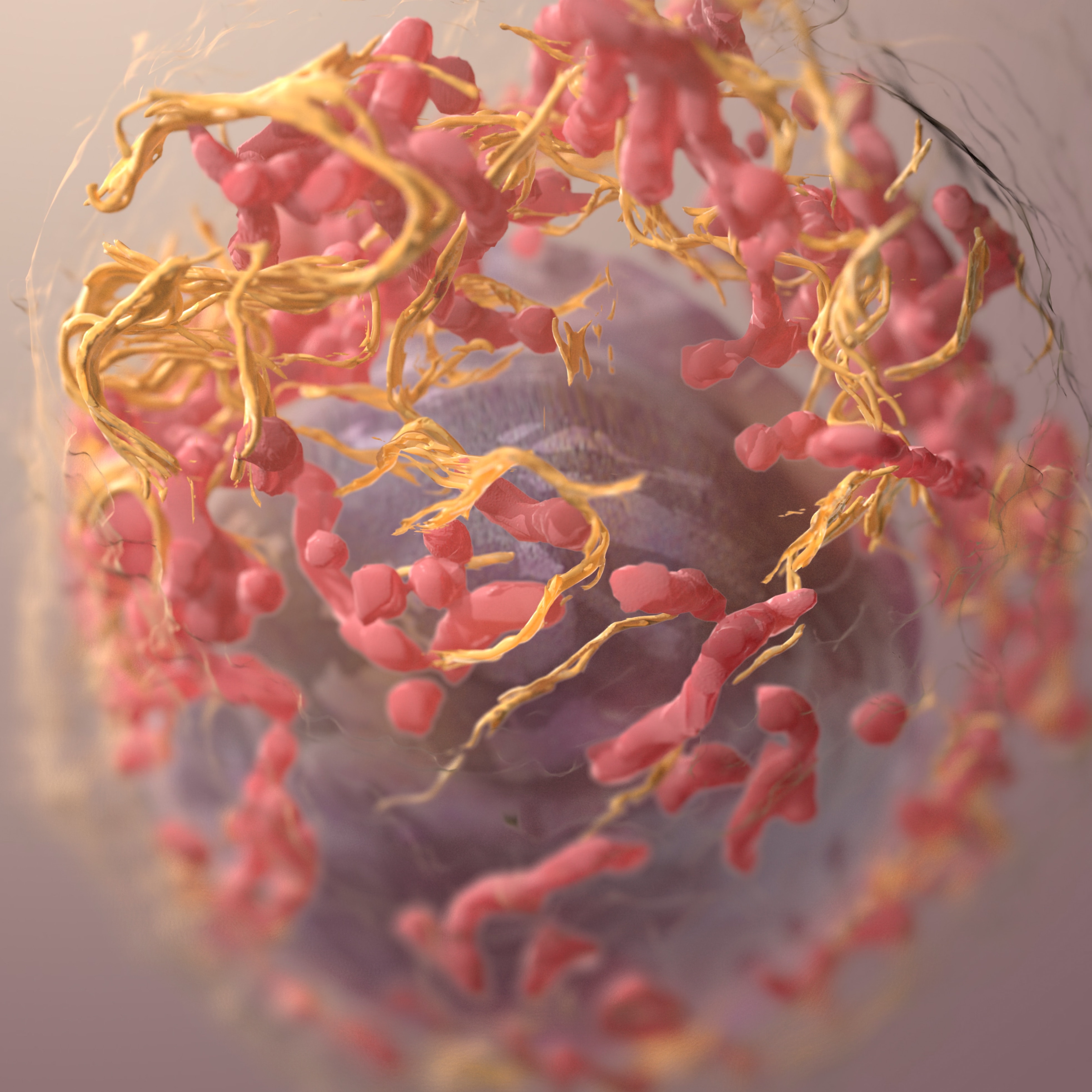 Oral Cancer Classifier project image