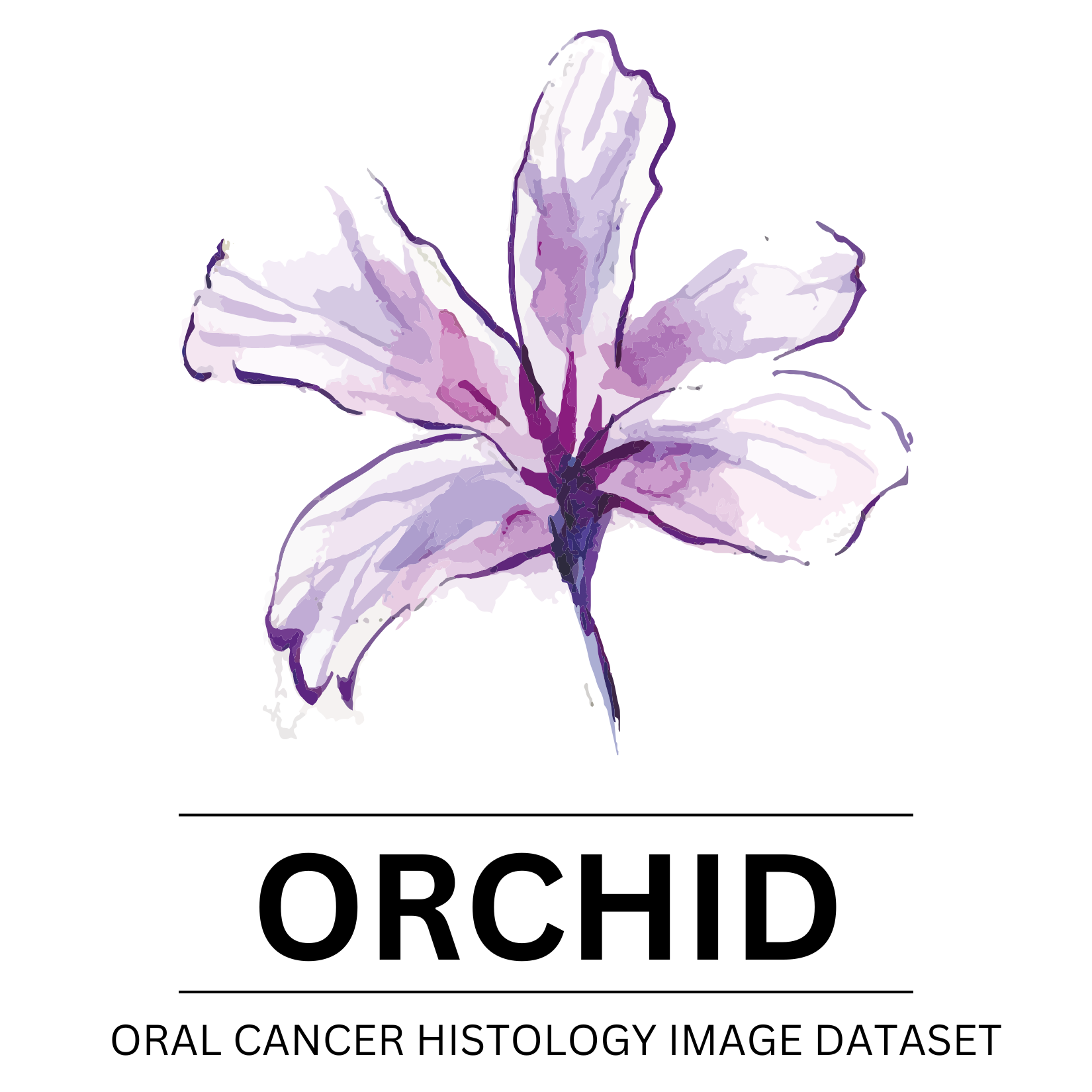 The ORCHID dataset project image