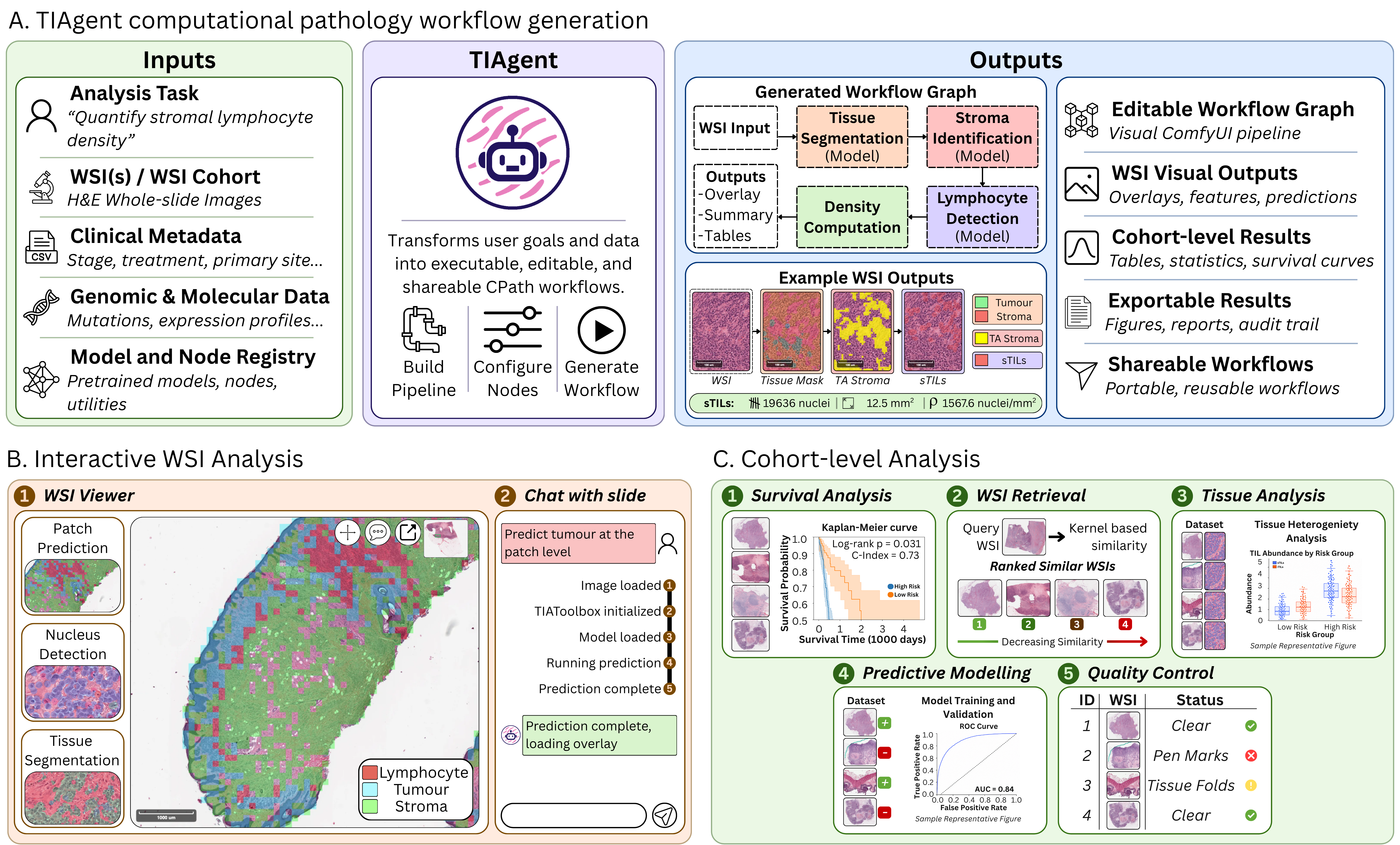 Concept figure showing TIAgent inputs, workflow generation, visual outputs, and downstream computational pathology analysis tasks.